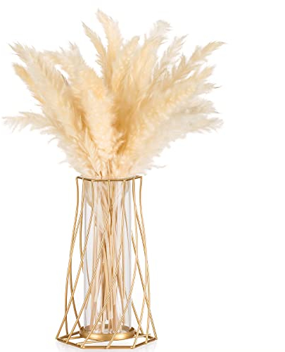 Sziqiqi Gold Vase für Pampasgras, Kleine Modern Blumenvase Vasen Deko für Tischdeko, Metall Tulpenvase Glasvase Reagenzglas Vase Glas für Wohnzimmer Hochzeit Tisch Regal Badezimmer Esstisch Fenster
