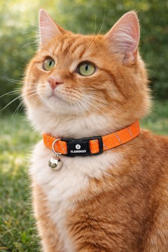 katzenhalsband - Elza orange 20–34 cm – elastisches Nylon reflektierend mit Glöckchen
