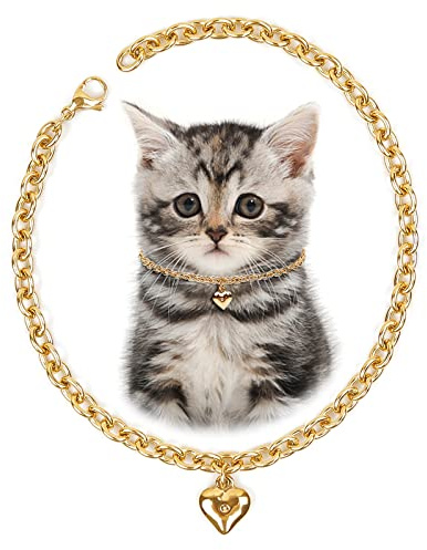 HOWWFALY Hundehalsband und Katzenkette, Edelstahl, verstellbar, 18 Karat Gold, herzförmige Halskette für kleine Haustiere, Katzen, Kätzchen, Welpen (Gold, 17,8 cm)
