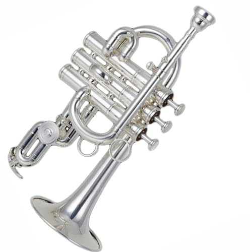 Trompeten Bb Professionelle Versilberte Piccolo-Trompete Aus Rostfreiem Stahl Standard-Trompetenton Für Anfänger