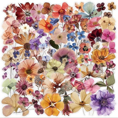 Radiella 100 Stück Vintage-Blumen Sticker Aesthetic Stickers Set, getrocknete Blumen Aufkleber, wasserdichte transparente PET Sticker für Journal Scrapbook Laptop, Summer Flower Decoration