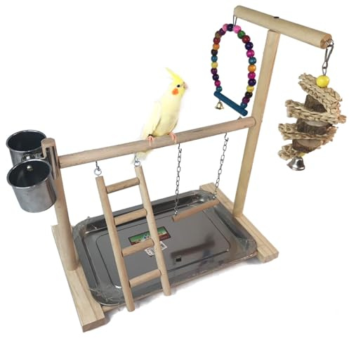 Hamiledyi Parrot Playground Bird Play Stand Play Gym with Feeder Cups,Swings, Ladder and Tray, Wood Parakeet Playground Outside Cage for Cockatiel Lovebird Budgie