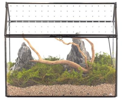 NCYP Glas-Terrarium in Hausform mit Acryl-Deckel, 26 x 15 x 21 cm, große geometrische Box für Schnecken, Farne, Sukkulenten, Luftpflanzen, Tischdekoration, handgefertigt (nur Terrarium)