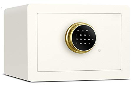 Coffre-fort mural numérique ignifuge avec serrure numérique et clé d'urgence – Sécurisez vos bijoux et documents importants – Coffre-fort domestique pour objets de valeur et sécurité améliorée