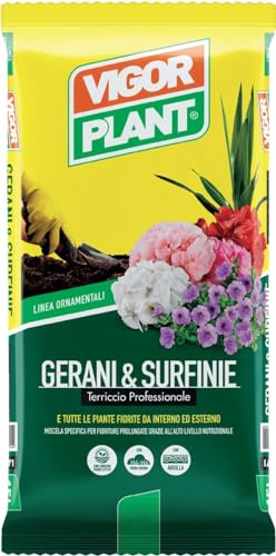 VIGORPLANT