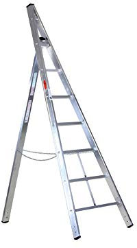 Svelt Scala Agricola 8 gradini Conica a Pioli con Piantone di Sostegno che Consente anche Posizione a Cavalletto, Portata 150kg, Agriluxe