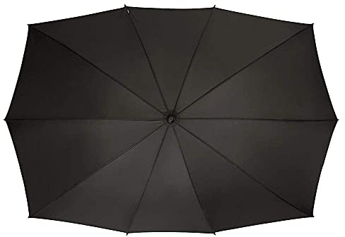 VON LILIENFELD Regenschirm Partnerschirm XL 148 cm x 99 cm Damen Herren Fiberglas 10 Stangen Sehr Stabil Maxi schwarz