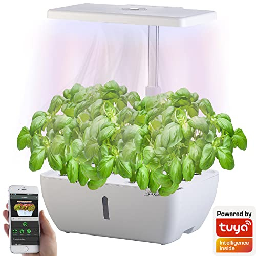 Carlo Milano Smart Garden: Smartes WLAN-Anzuchtsystem für 12 Pflanzen, Wachstums-LEDs, App, 7 l (Anzucht Box, LED Pflanzenlampe, Vollspektrum Pflanzenlampen)