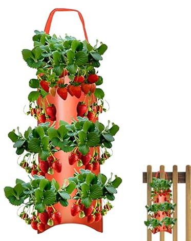 lisutupode Fioriera sospesa per pomodori – Borsa da giardino da appendere – Contenitore accessorio per piantare frutta verdura pomodori all'aperto peperoncino fiori giardino cortile balcone