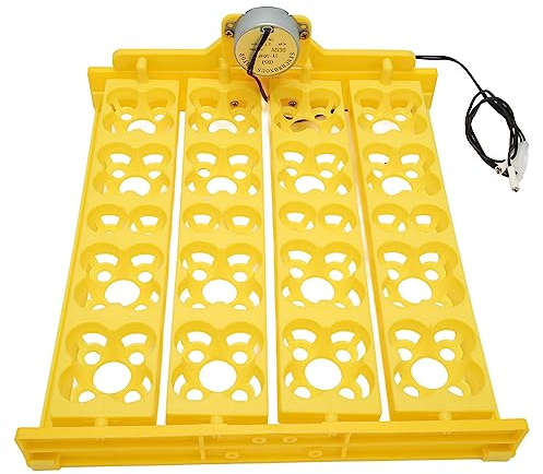 Plateau d'incubateur Multifonction Automatique, retourneur d'œufs Automatique en Plastique, Plateau de retournement d'œufs Creux à Quatre Feuilles avec Moteur 110 V, couveuse pour (DC12V)