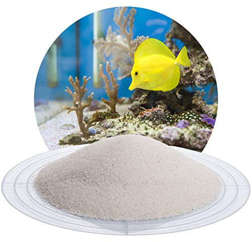 Schicker Mineral Aquariumsand weiß 25 kg, feiner Aquariumkies gewaschen, ungefärbt, kantengerundeter Bodengrund, Kies für Süßwasseraquarien, Meerwasseraquarien, Aquascaping (Ø Körnung: 0,1-0,3 mm)