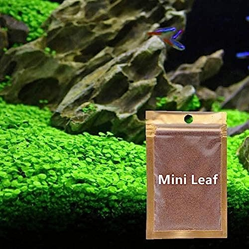 2 Pack Aquarium Mini Leaf Grass Aquarium Foreground Grass,Aquatic Plant Decor Water Grass for Aquarium and Fish Tank Aquarium Landscaping Decoration