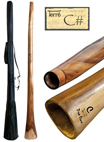 Didgeridoo aus Eukalyptus Tonhöhe CIS ca. 165-175 cm professionell perfekte Toots Reisetasche Aborigines Australien Percussion
