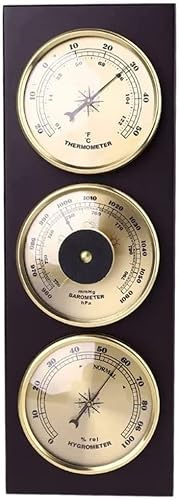 WEYFH Stazione meteorologica 3 in 1 con termometro, barometro e igrometro da Parete con Base in Legno