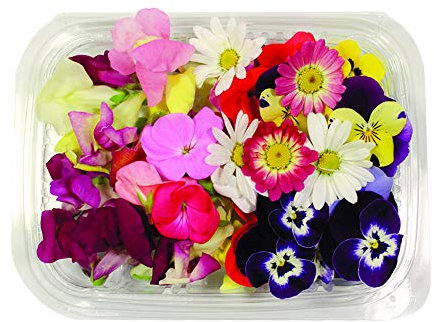 Fiori Commestibili BIOLOGICI - 60 FIORI EDULI di COLORI e VARIETÀ MISTE in vaschetta alimentare di 16 cm x 13 cm x 1,5 cm - Coltivati in Toscana dall'azienda agricola Carmazzi