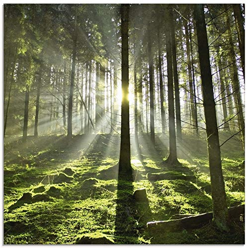ARTland Wanddeko Glasbilder Wandbild Glas Bild einteilig 50x50 cm Quadratisch Natur Wald Landschaft Sonne Bäume Moos Frühling Landhaus T5SV ARTland