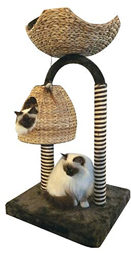 CROCI Griffoir pour Chat azalée Naturelle 50 x 50 x 95,5 cm