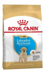 Royal Canin Labrador Retriever Junior 3 kg, 1er Pack (1 x 3 kg) | Unterstützt die Verdauung und Immunität und fördert gleichzeitig gesundes Wachstum und Gewicht