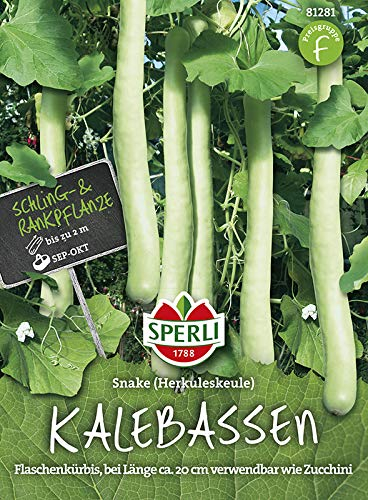 Kürbissamen - Herkuleskeule Snake von Sperli-Samen