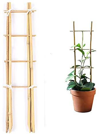 Cambaverd Lot de 3 treillis en bambou naturel en forme d'échelle, 60 cm, respectueux de l'environnement pour plantes grimpantes, légumes et fruits