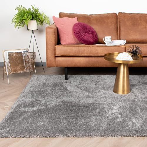 FRAAI | Home & Living Hochflor Teppich - Glazy Hellgrau - Shaggy, Einfarbig - Modern - Wohnzimmer, Esszimmer, Schlafzimmer - Fellteppich - Carpet