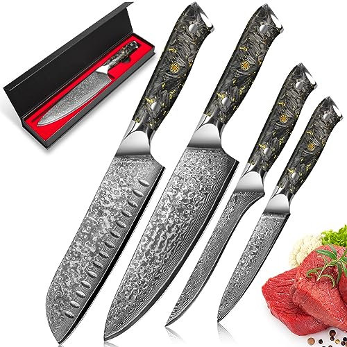 kyushublade Chef Knife Set 4 PCS, 67 Layer of Damascus Steel Knife Set with Black Resin Handle, Kitchen Knifes Set Include Chef Knifes, Santoku Knifes, Boning Knifes and Universal Knife