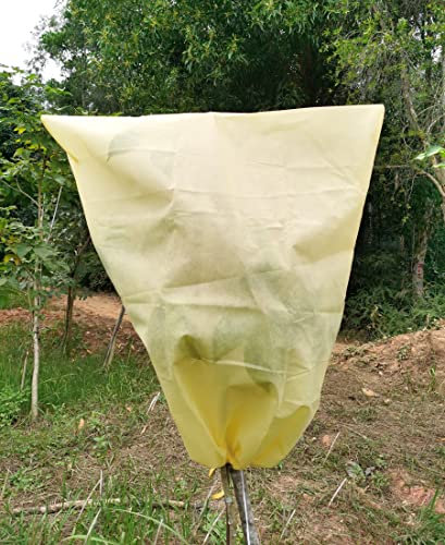 LINSOCLE 2 Pezzi Telo Copri Piante Antigelo, Cappuccio Protezione Piante, Telo per Piante Inverno, 100 x 80cm Copri Piante Antigelo per Protezione Antigelo e Antivento