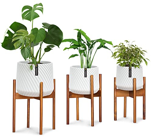 Fox & Fern Mid Century Pflanzenständer, erhöhter Ständer für Pflanzgefäße mit einer Breite von 20 cm, 25,5 cm, 30 cm (nicht im Lieferumfang enthalten), Akazienholz-Ständer für Zimmerpflanzen, Set mit