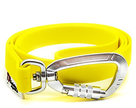 Twinkys Dog Style Hundeleine Wasserabweisend 20 mm breit mit Sicherheitskarabiner für Hunde MIT Handschlaufe Neon Gelb 1 Meter Made in Germany