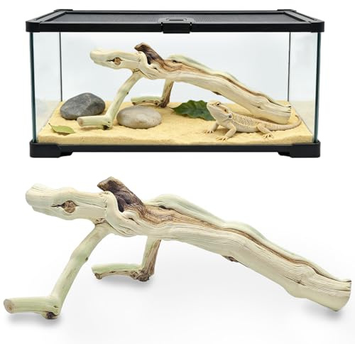 BNOSDM Reptile Branches, 13.8inch Snake Climbing Branch, Terrarium Wood Branch Decor, Bearded Dragon Tank Climbing Accessories for Lizard, Gecko, Chameleon, Frog