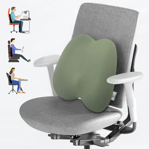 MzGro Back Lumbar Support Cushion for Office Chair - Firm Memory Foam Back Pillow for Back Pain and Pressure Relieve - Back Cushion for Long Sitting, Working, Driving (Light Green Lumbar Support)