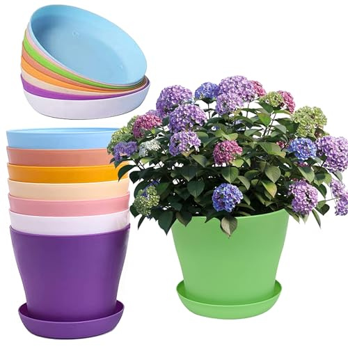 WYIPOLZI 8-Pack Medium 14cm (5.5) Plastic Plant Pots with Saucer, 8-Color Flower Pot Nursery Pots for Succulents, Herbs, Cactus, Bonsai, PVC with Drainage Holes, Weather-Resistant Garden Decor