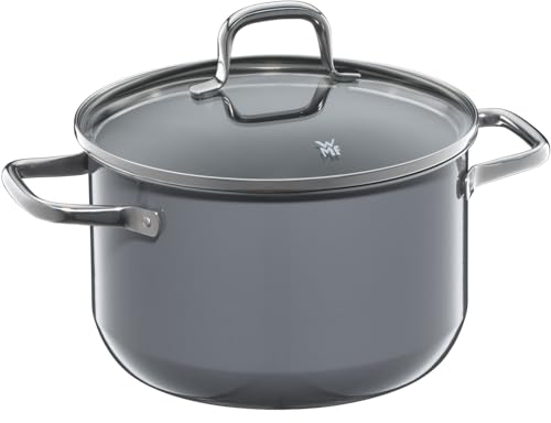 WMF Fusiontec Essential Kochtopf groß, 20 cm, Glasdeckel, Fleischtopf Induktion, 3,7l, High-Tech Keramik, kratzfest, unbeschichtet, grau, Made in Germany