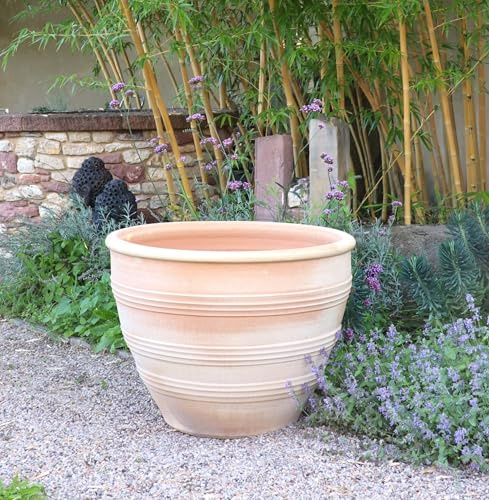 Palatina Werkstatt, Terracotta Pflanzkübel frostfester Blumentopf in verschiedenen Größen, Garten Terrasse Veronica (75 cm)