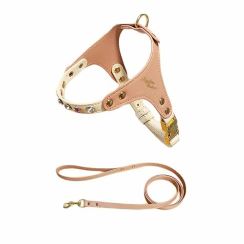feiling Kleine Hunde Ledergeschirr PU Leder Hundegeschirr Katzengeschirr mit 1.2M Hundeleine Welpen Brustgeschirr Verstellbar Geschirr (pink, S)