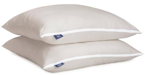 Fabsy Guanciale Letto 2 Pezzi– Set Cuscini Letto in Seersucker con Imbottitura in Microfibra di Poliestere Traspirante– Durevoli–Cuscino per Dormire Regolabile in Altezza (grigio, 60x60cm)