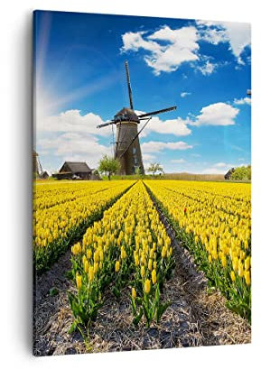 Bilder auf Leinwand Tulpen Windmühle Wiese Landschaft Leinwandbild mit Rahmen 50x70cm Wandbilder Dekoration Wohnzimmer Schlafzimmer Deko Groß Wanddeko Bild Wand Kunstdruck Art Canvas PA50x70-2879