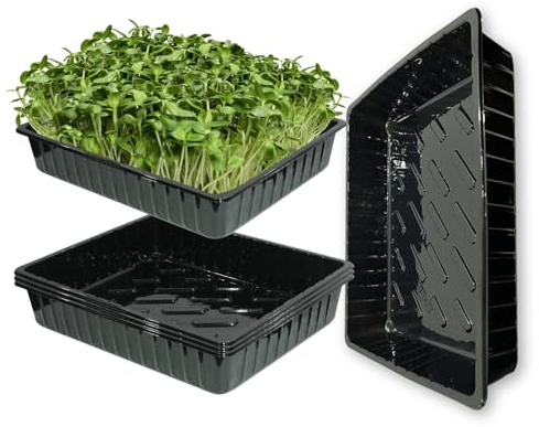 BeGrit Pflanzwanne 5 Stücke Pflanzschalen Anzuchtplatte Pflanzschale 39cm x 29cm x 6,5cm Anzuchtschalen Ohne Löcher Stabile Flache Schalen für Pflanzen, Anzuchten, Garten, Hydroponic