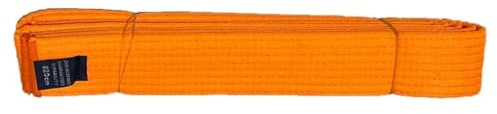 BOJHGO 2 st färgglada Taekwondo-bälten svart/röd/grön/gul 2 st för kampsport rankade bälten 2/2,8 m perfekt för långa träningspass, En färg, Orange-220cm