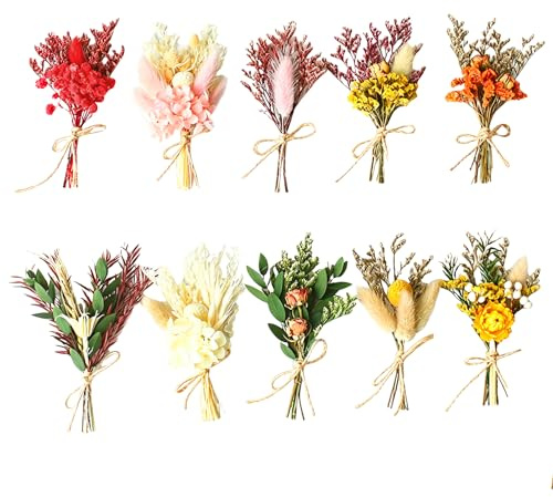 Wlsvega10pcs Trockenblumenstrauß Klein,Mini Trockenblumen,DIY Kunsthandwerk | Trockenblumenstrauß Eignen Sich FüR Fotorahmen,Geschenkverpackungen, Hochzeiten, Geburtstage, Corsagendekoratio n Usw