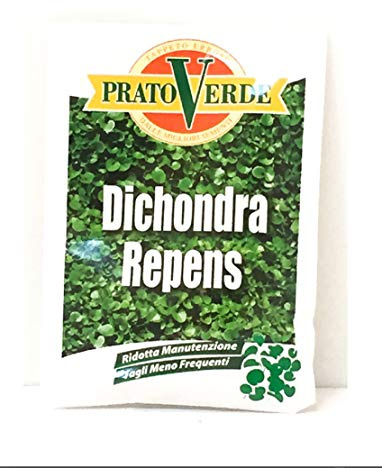 SEMI PER PRATO DICHONDRA REPENS BUSTA GR.100 SEMENTI PER TAPPETI ERBOSI