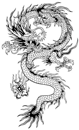 Faux tatouage Dragon chinois, autocollant étanche for femmes et hommes, Art corporel, Art des bras