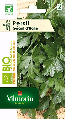 Vilmorin 3790034 Persil géant Vert 9 x 0,5 x 16 cm