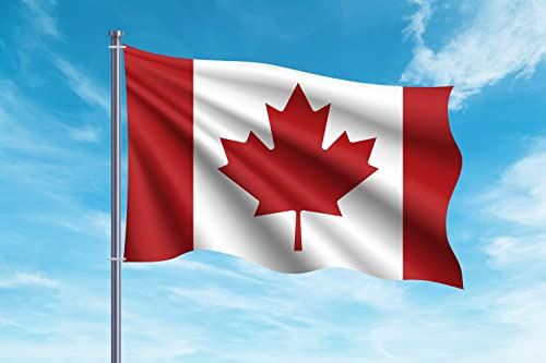 Oedim Drapeau du Canada | 150x85cm | Renforcé et surpiqûres | Drapeau avec 2 oeillets métalliques et résistant à l'eau