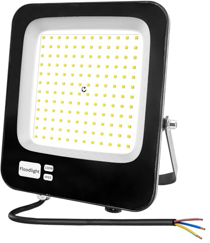 Focos LED Exterior 100W,Fosingut IP66 Impermeable Foco Proyector LED Exterior,6500K Blanco Frío Super brillante Focos Interior,Luz de Seguridad Floodlight para Jardín,Garaje,Patio,Trasero,Terraza