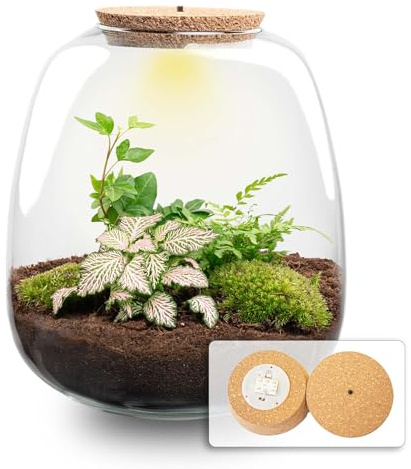 urbanjngl - Emma - Hedera Pink - Flaschengarten mit Licht - DIY Terrarium mit Pflanzen im Glas - Ø 23 cm ↑ 25 cm