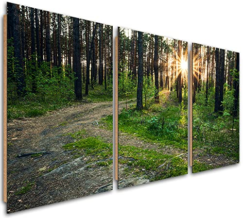 Feeby 3-teilig Dekobild 60x30 cm Wald Farne Natur Pfad Bild Kunstdruck Wand Bild Kunstdruck Wohnzimmer Wohnungs Deko Sonnenuntergang Blätter Bäume Pflanzen Grün