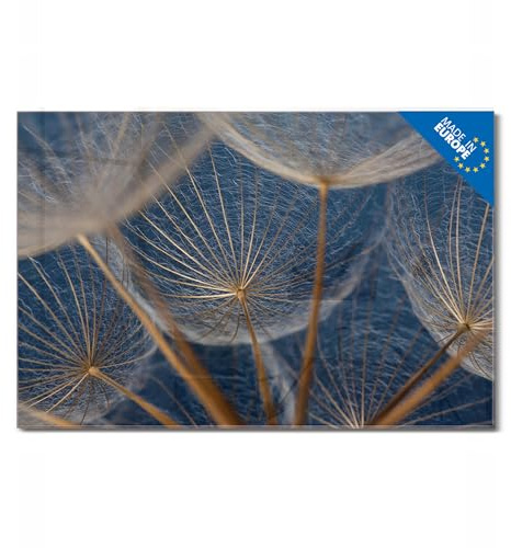 banjado Glas Magnettafel (45 x 30cm) - Magnetwand Glas - Magnetpinnwand als Memoboard - Pinnwand Magnettafel Küche, Büro, Kinderzimmer - Verblüht