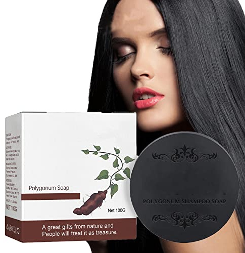 Festes Shampoo-Stück,Natürliche Polygonum Multiflorum Haarseife,Polygonum Shampoo Bar,Haar Verdunkelung Shampoo Bar,Anti-haarausfall Shampoo-Bar,Verhindert Haarausfall für Männer und Frauen
