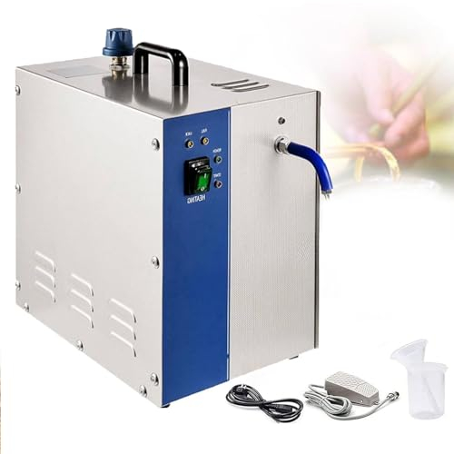 Aredwhiterui 4L Nettoyeur De Bijoux, Nettoyeur Professionnel De Bijoux à Vapeur 2200W, Nettoyeur De Bijoux en Acier Inoxydable 304 pour l'argent Et l'or